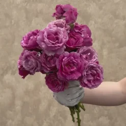 Heirloom Roses Perfume Factory™ Discount