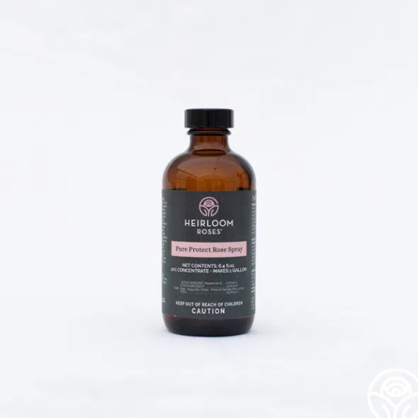 Heirloom Roses Pure Protect by Clearance