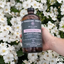 Heirloom Roses Pure Protect by Clearance