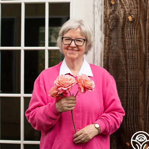 Heirloom Roses Reach for the Skies Online
