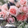 Heirloom Roses Relais & Chateaux Online
