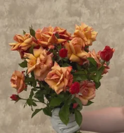 Heirloom Roses Remember Me® Outlet