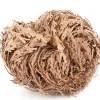 Heirloom Roses Rose of Jericho Outlet