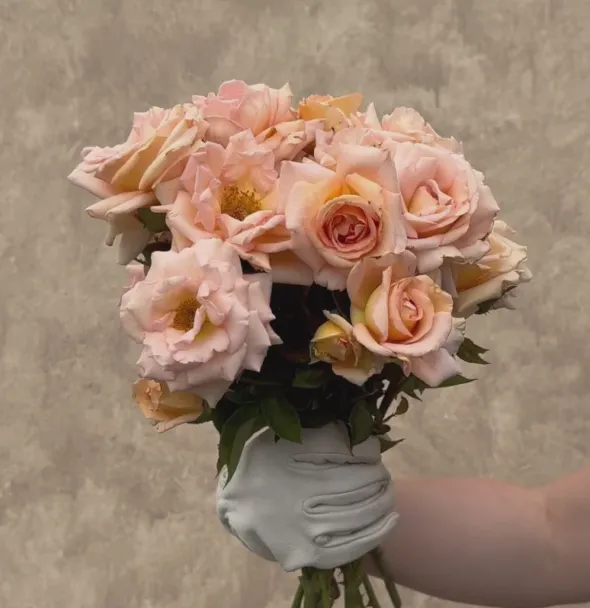 Heirloom Roses Scent-Sation Discount