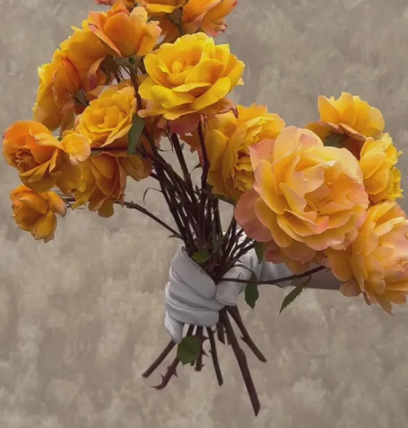Heirloom Roses Strike It Rich™