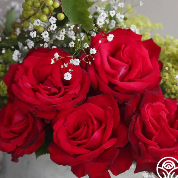 Heirloom Roses Sunbelt® Desmond Tutu Sale