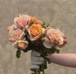 Heirloom Roses Sunbelt® Soul Sister™ Best
