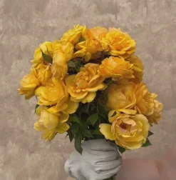 Heirloom Roses Sunbelt® South Africa® New