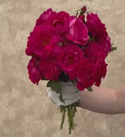 Heirloom Roses Sweet Spirit™ Discount