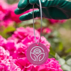 Heirloom Roses The Mill On The Floss Tag Discount