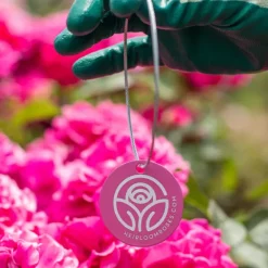 Heirloom Roses Thomas A Becket Tag Hot