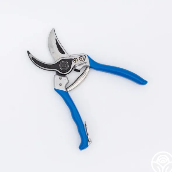 Heirloom Roses Vesco A1 Pruners Hot