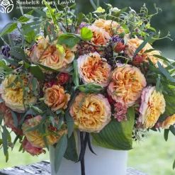 Heirloom Roses Vibrant Bouquet Collection Sale