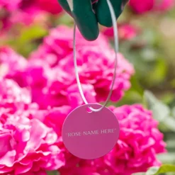 Heirloom Roses Welsh Gold™ Tag Outlet