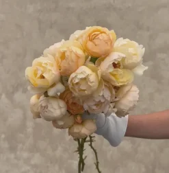 Heirloom Roses Wollerton Old Hall™