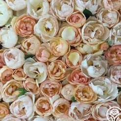 Heirloom Roses Wollerton Old Hall™
